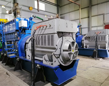 Proyecto de generación de energía de biogás de Fengdu Gantai equipado con 2 unidades EvoTec 850kw / 10.5kv / 6 generadores de alto voltaje de polos