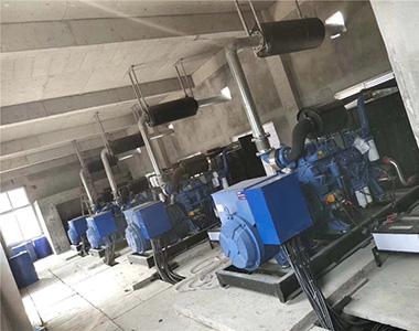 Generador de uso terrestre EvoTec 500kw/400v aplicado al proyecto de cría