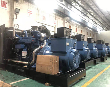 Generador de uso terrestre EvoTec 500kw/400v aplicado al proyecto de cría