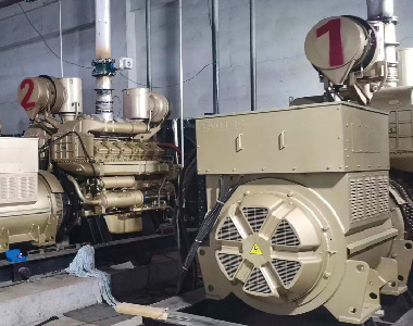 3 x 900KW / 10.5KV / 1000RPM Alternadores HV de 6 polos - Proyecto de generación de energía de gas noroeste